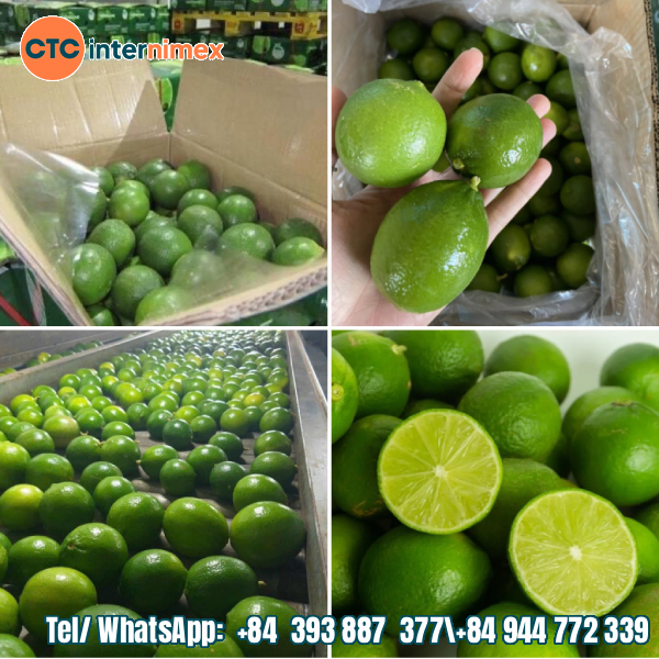 Why Vietnamese Seedless Limes are the Ultimate Diet Superfood?